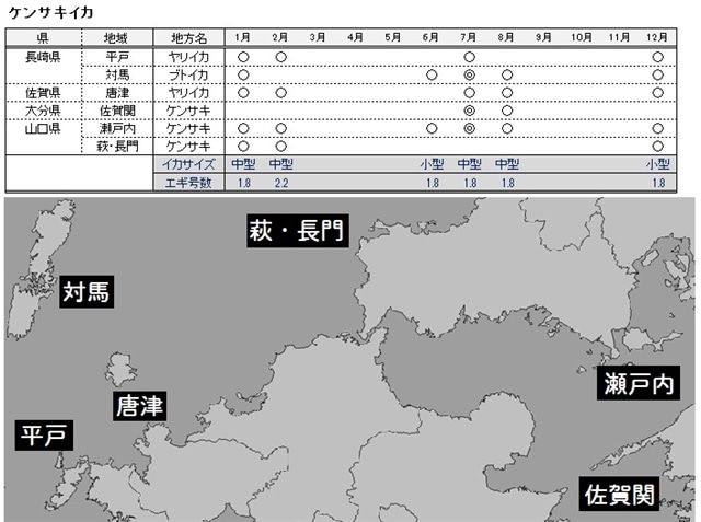 ライトエギング 対象種別解説 その１ Yamashita イカ釣りで世界トップクラス