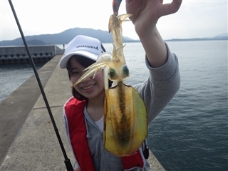 福岡県アオリイカ情報釣果情報コーナー Yamashita イカ釣りで世界トップクラス