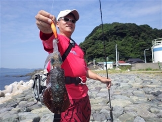 福岡県アオリイカ情報釣果情報コーナー Yamashita イカ釣りで世界トップクラス