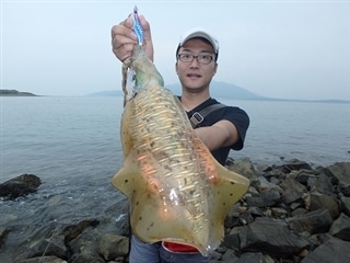福岡県アオリエギング釣り情報釣果情報コーナー Yamashita イカ釣りで世界トップクラス