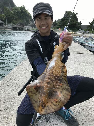 山口県アオリエギング情報釣果情報コーナー Yamashita イカ釣りで世界トップクラス