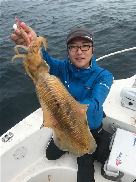 福岡県ボートエギング情報釣果情報コーナー Yamashita イカ釣りで世界トップクラス