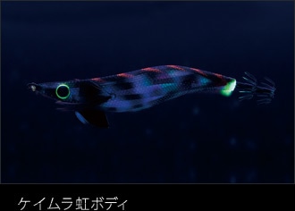 ケイムラ虹ボディ