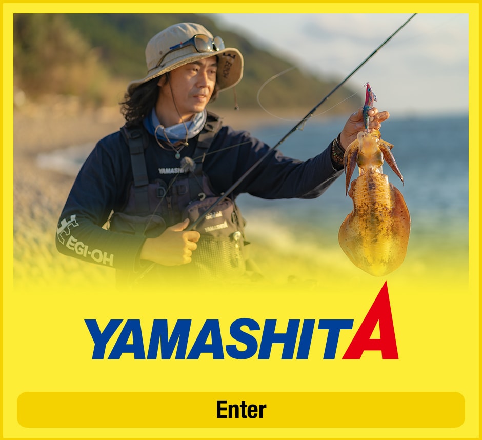Yamaria Corporation｜YAMARIA Corporation