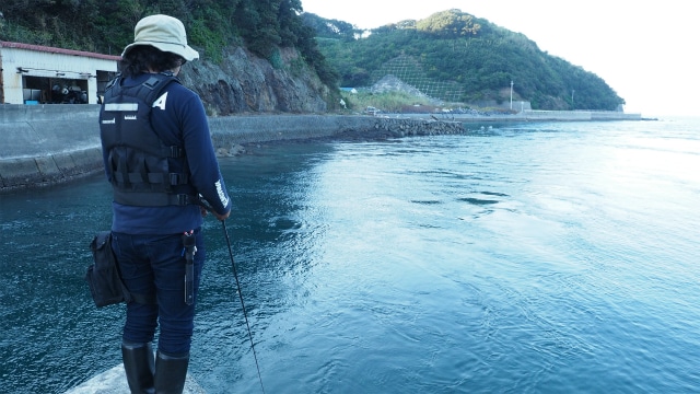 Egingステップアップ潮の流れ攻略編