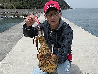 鹿児島県 アオリエギング情報釣果情報コーナー Yamashita イカ釣りで世界トップクラス