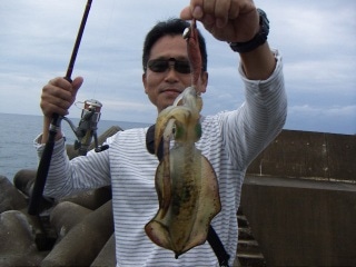 山形県 アオリイカ情報釣果情報コーナー Yamashita イカ釣りで世界トップクラス