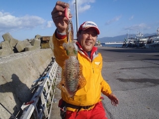 北海道 アオリイカ情報釣果情報コーナー Yamashita イカ釣りで世界トップクラス