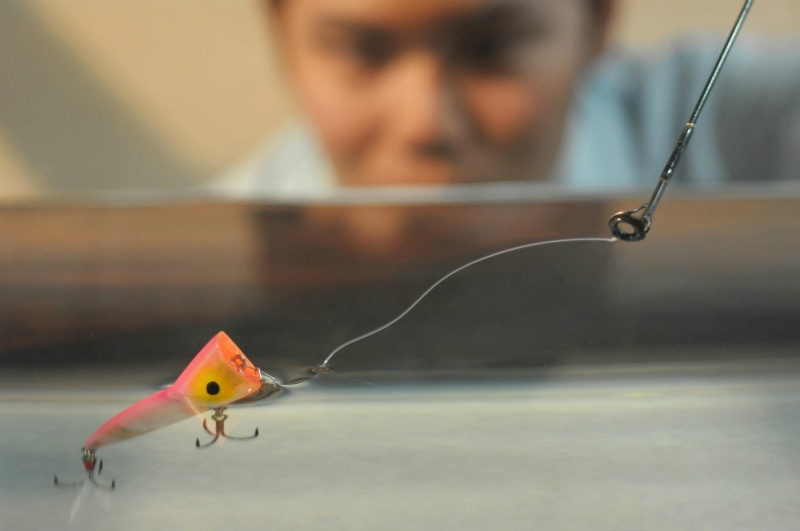 Japanese lure companies clearance