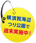 横須賀海辺釣り公園で週末実施中！