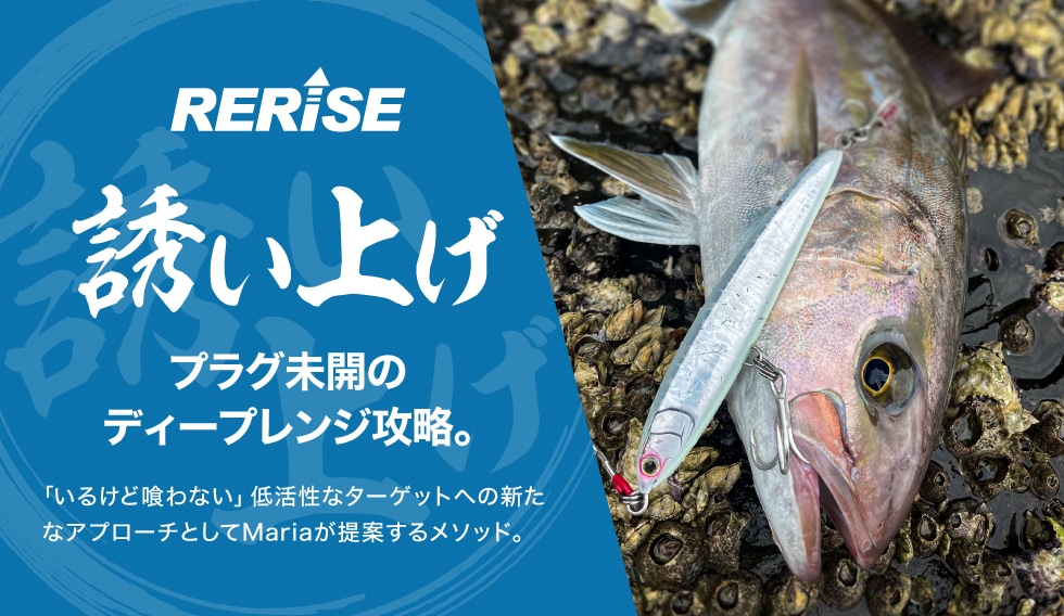 誘い上げ｜Maria｜海のルアーフィッシングのパイオニア