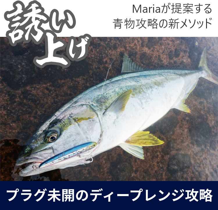 誘い上げ｜Maria｜海のルアーフィッシングのパイオニア