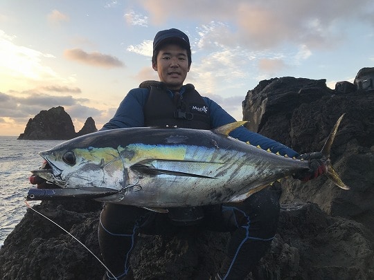 伊豆諸島鵜渡根 ショアキハダ