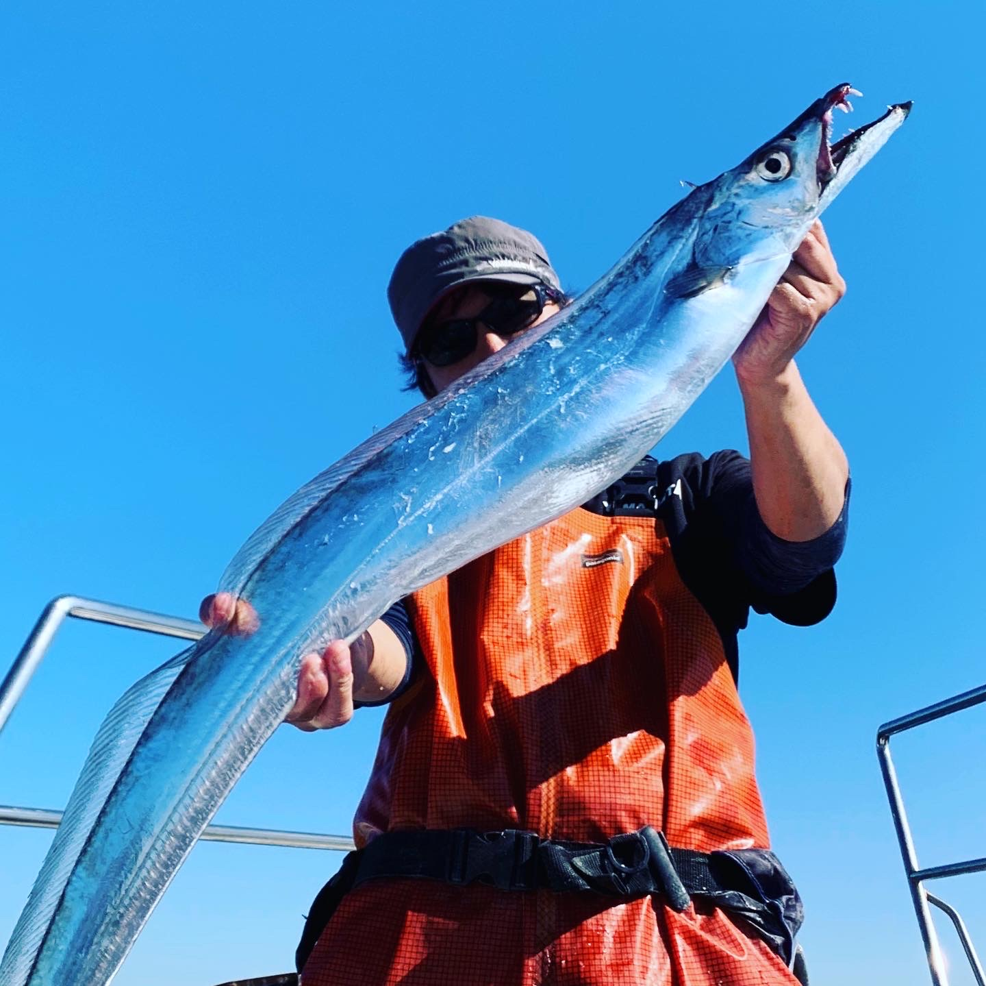 大阪府 船釣情報釣果情報コーナー Yamashita イカ釣りで世界トップクラス