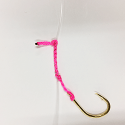 活イカ泳がせ仕掛 Yamashita イカ釣りで世界トップクラス