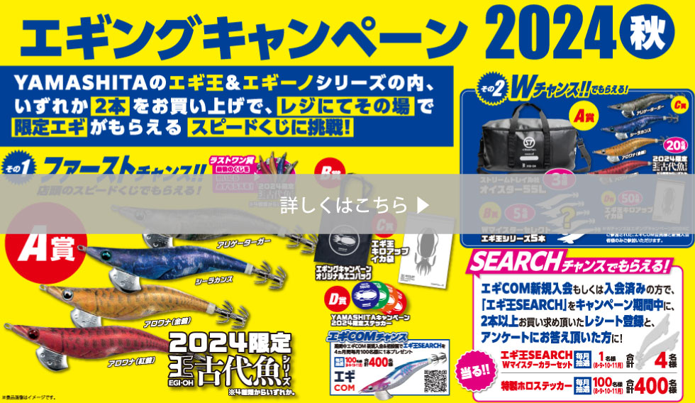 レアエギセット20本 エギ王SEARCH｜YAMASHITA｜イカ釣りで世界トップ