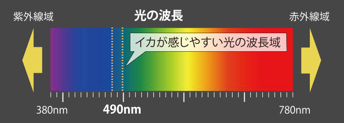 光の波長領域図