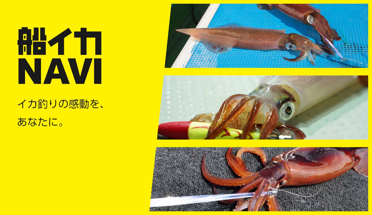 船イカNAVI|YAMASHITA|イカ釣りで世界トップクラス 船イカNAVI|YAMASHITA|イカ釣りで世界トップクラス