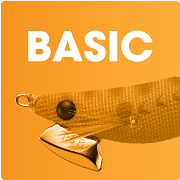 BASIC
