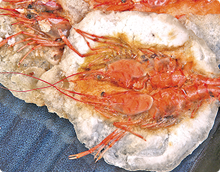 水辺遊びプラン診断 結果 遊び紹介記事 えびせん作り