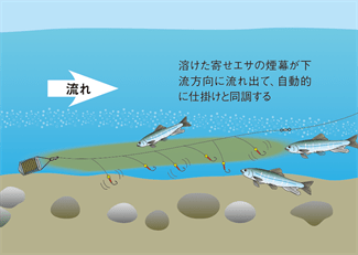 水辺遊びプラン診断 結果 遊び紹介記事 オランダ釣り