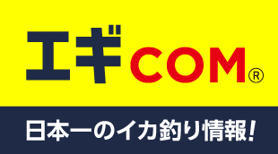 エギカラー 背色
