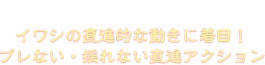 イワシの直進的な動きに着目！ ブレない・揺れない直進アクション 