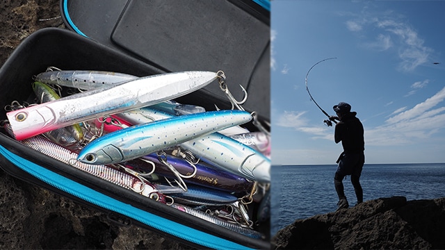 釣りサポ Maria 海のルアーフィッシングのパイオニア