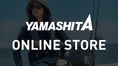 ONLINE STORE