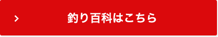 釣りコンシェルジュはこちら