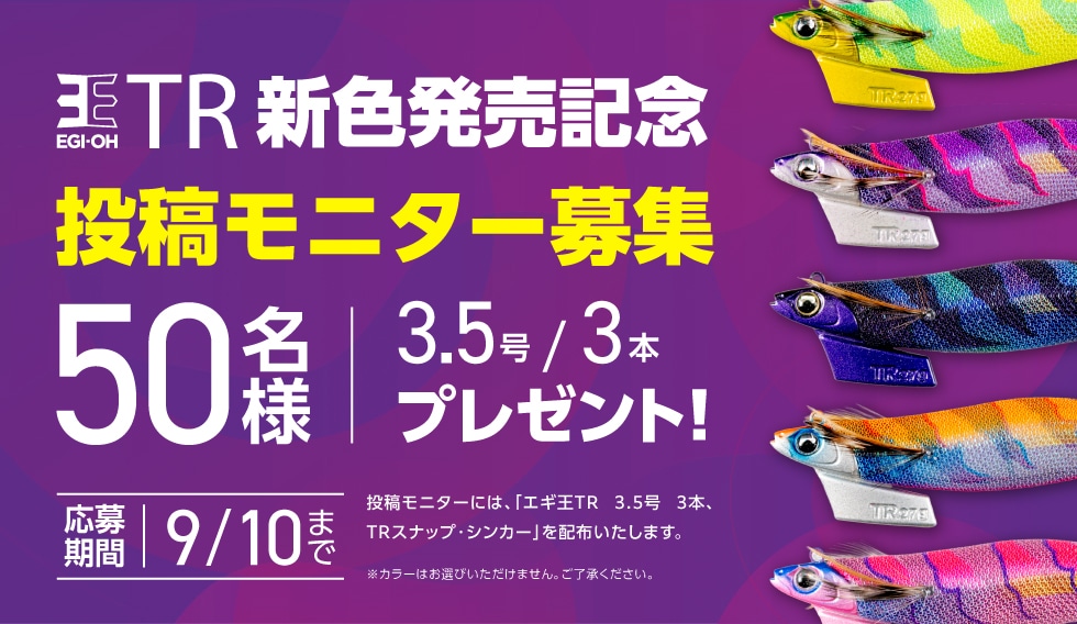 YAMASHITA エギ王TR投稿モニター
