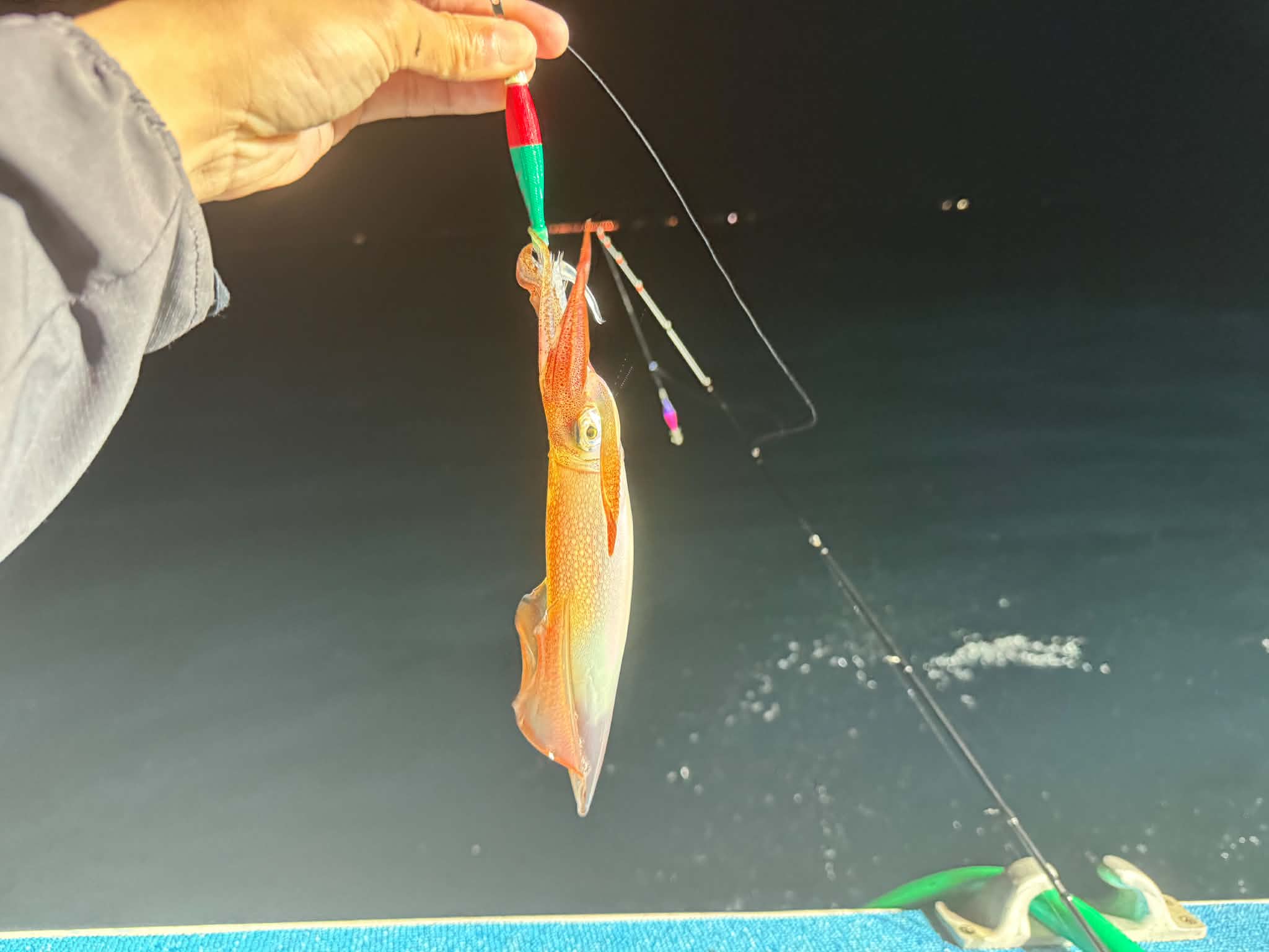 釣果画像0609003