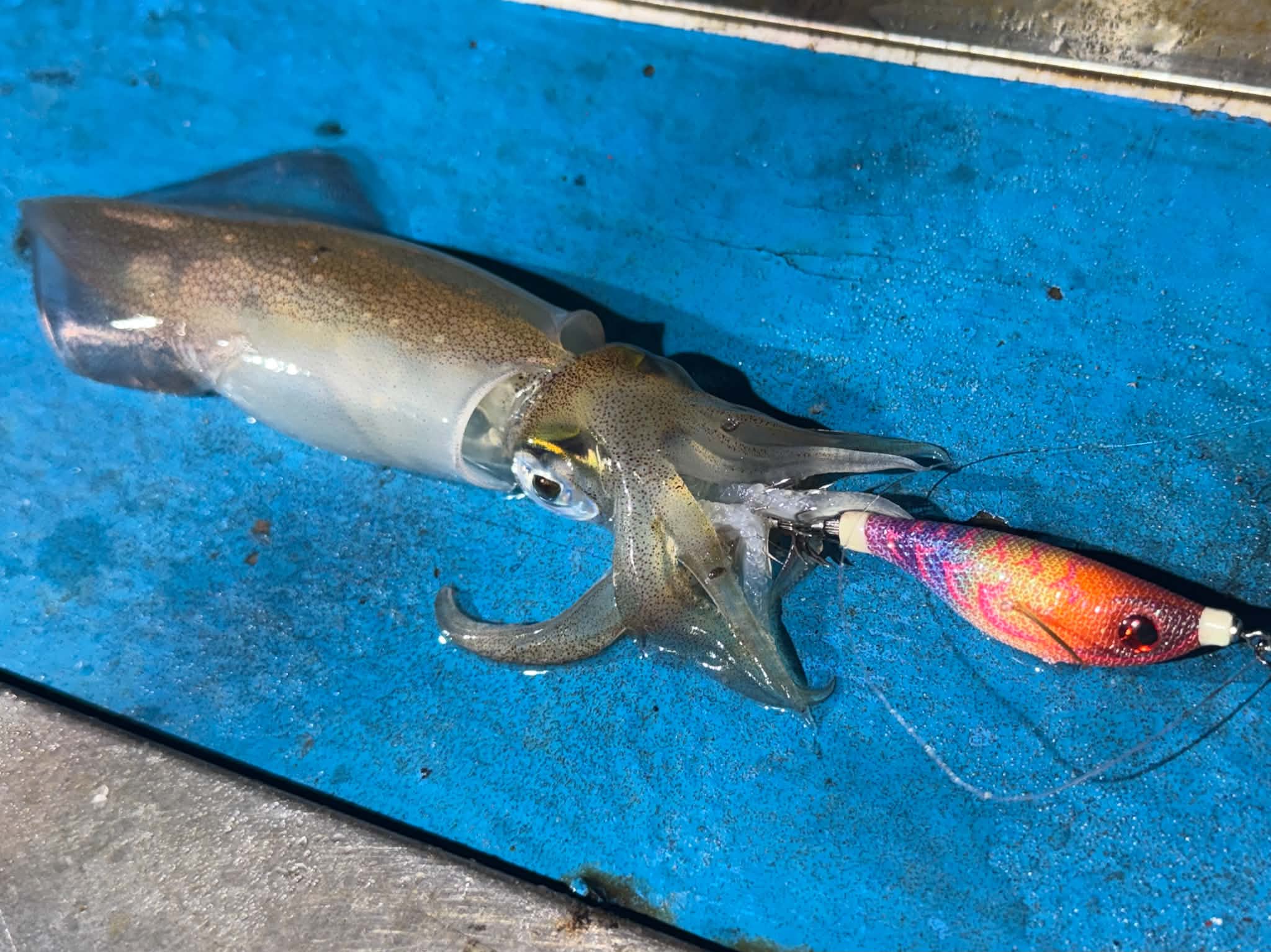 釣果画像2