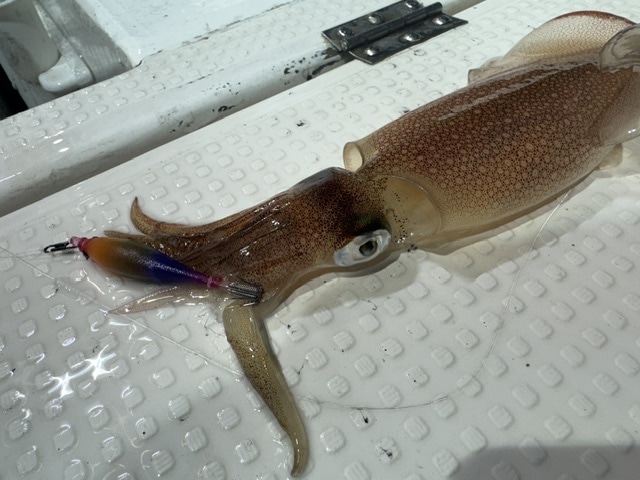 釣果画像0701004