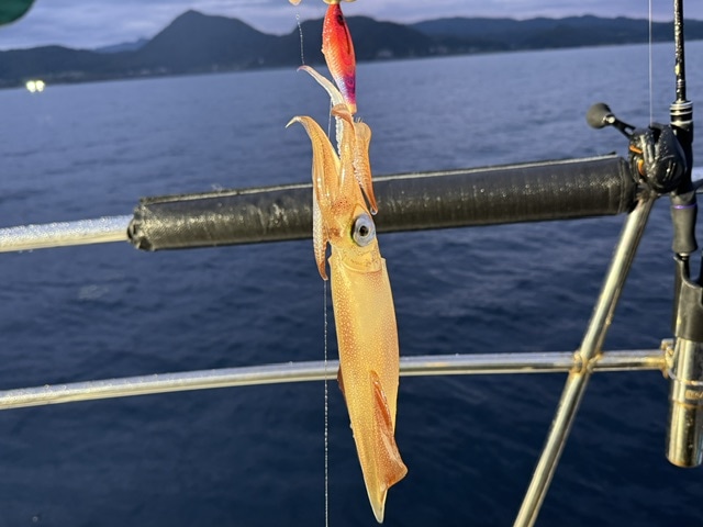 釣果画像0706002