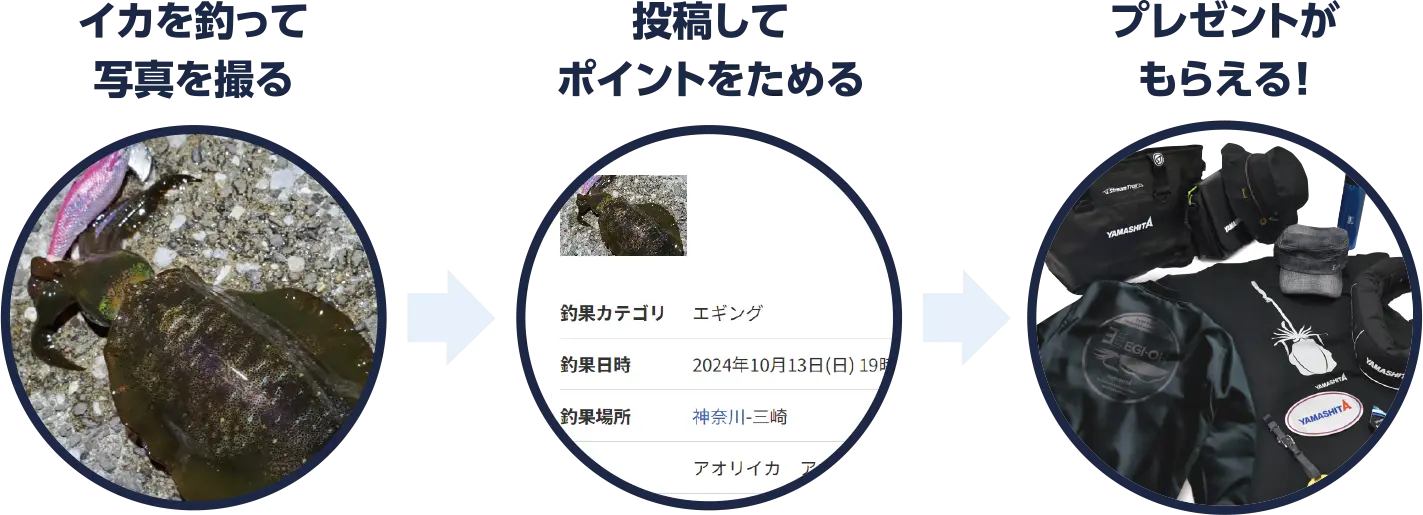 point-01