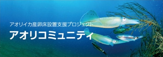 アオリイカ産卵床設置支援プロジェクト アオリコミュニティ