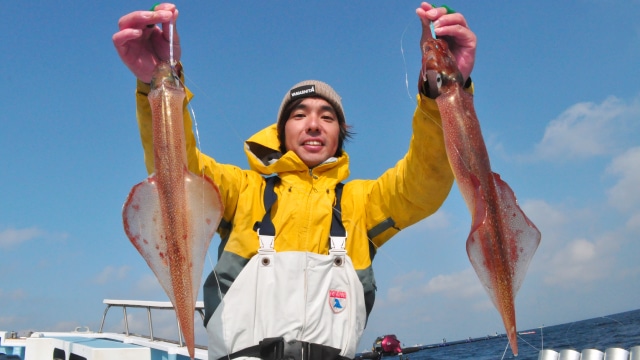 ヤリイカ入門者必見 船からのヤリイカ釣り徹底解説 釣りサポ Yamashita